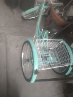 Adult Tricycle with Rear Basket