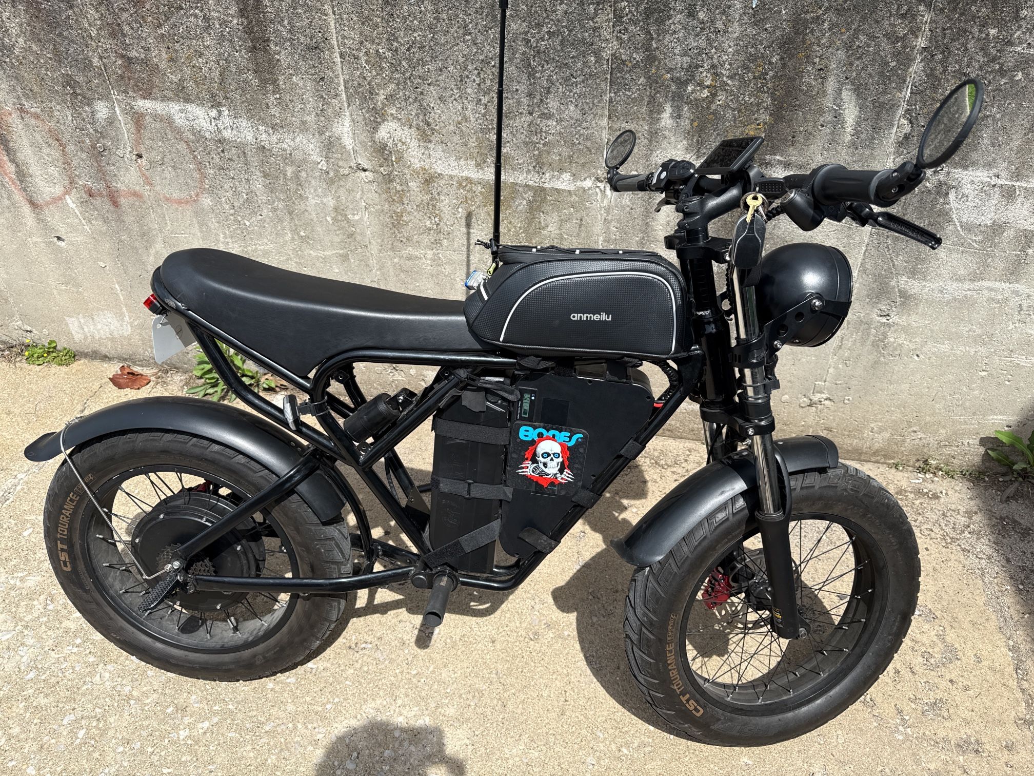 Custom RidStar Q20 Ebike