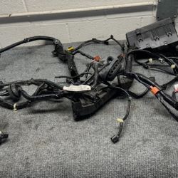 Engine Wire Harness