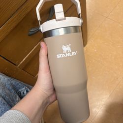 Stanley ice-flow flip straw tumbler (limited edition) 