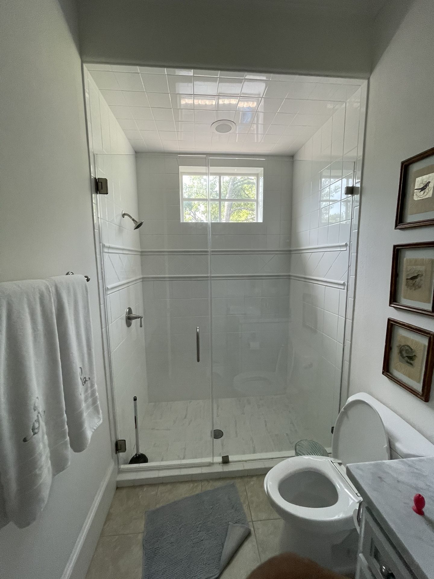 Shower Doors
