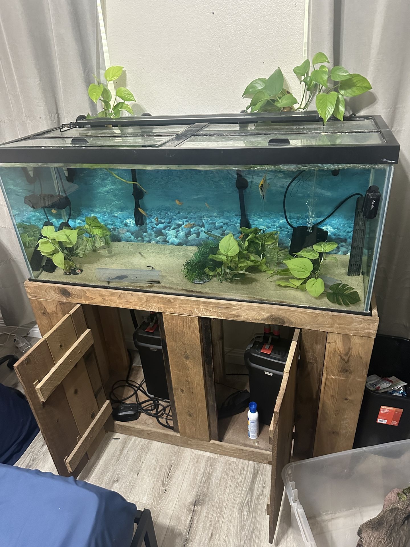 75 Gallon Fish Tank Complete (pending) Till 11/15 