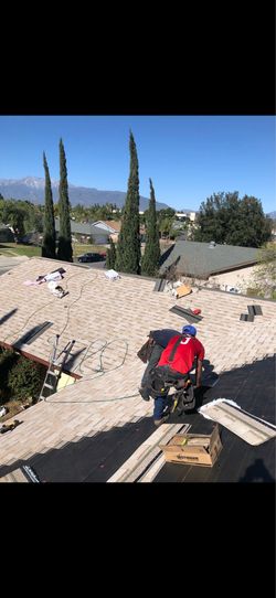 Roof shingles