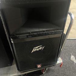 Peavy Speaker 