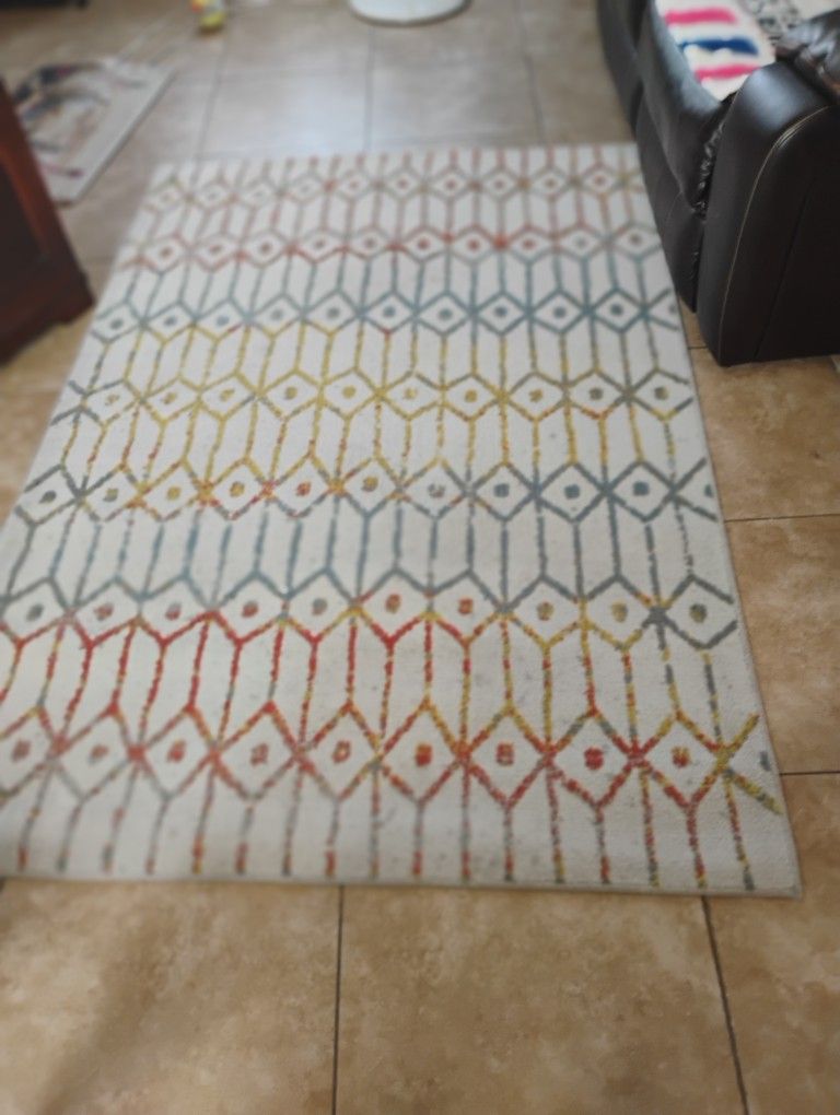 6 X 4 Area Rug