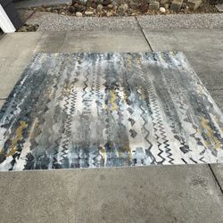 Area Rug Just Needs A Cleaning 