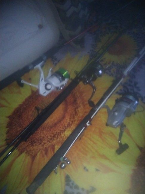 3 Fishing  Pole