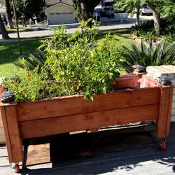 🌱🌱🌱Custom Planters🌱🌱🌱
