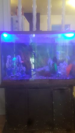 Fish tank