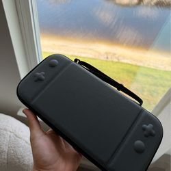 Nintendo switch 2 case