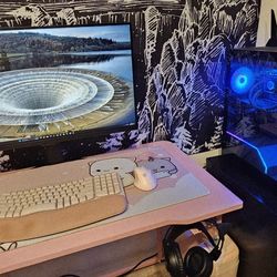 Gaming PC and Monitor 