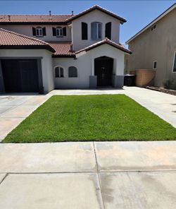 Fresh Sod