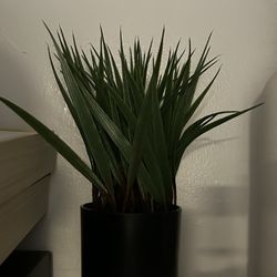 Faux Plant