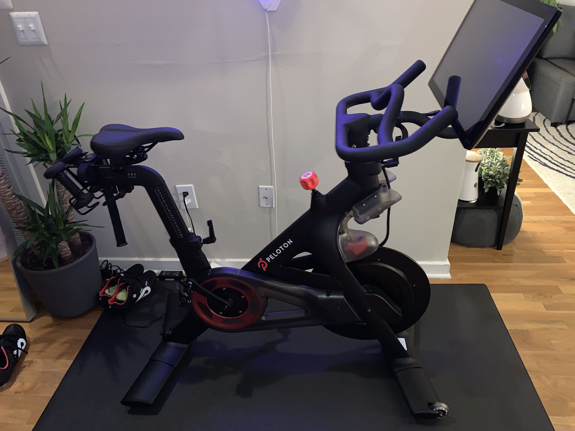 Peloton bike, shoes, weights, and HR monitor