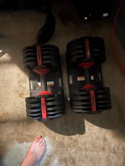 Adjustable Dumbbells (50 lbs)