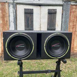 Bocinas Audiobahn 12 Pulgadas Doble Bobina 