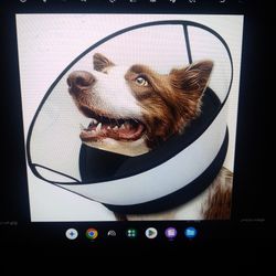 Dog Size Medium Safety Cone Donut Collar - New