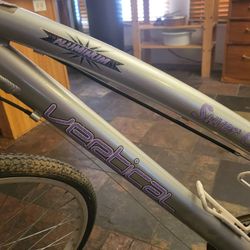 Silver Canyon 18 Speed Bicycle 