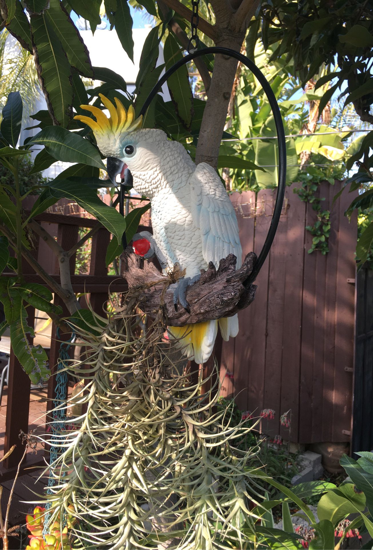 Tropical Bird Parrot Statue Patio Lawn Yard Porch Home Decor Figurine Sculpture