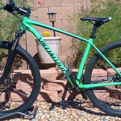 29 Inch Specialized Rockhopper Mountain Bike 