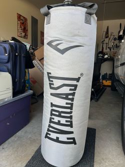 Everlast Punching bag w/ gloves and punch pads