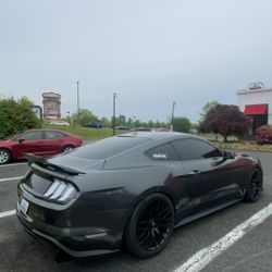 Mustang Euro taillights