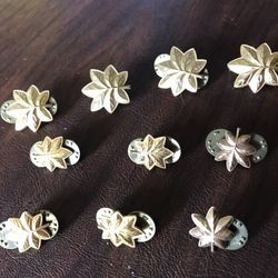 Military Gold Oak Leaves 