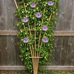Handmade Sturdy Cedar Fan Trellis