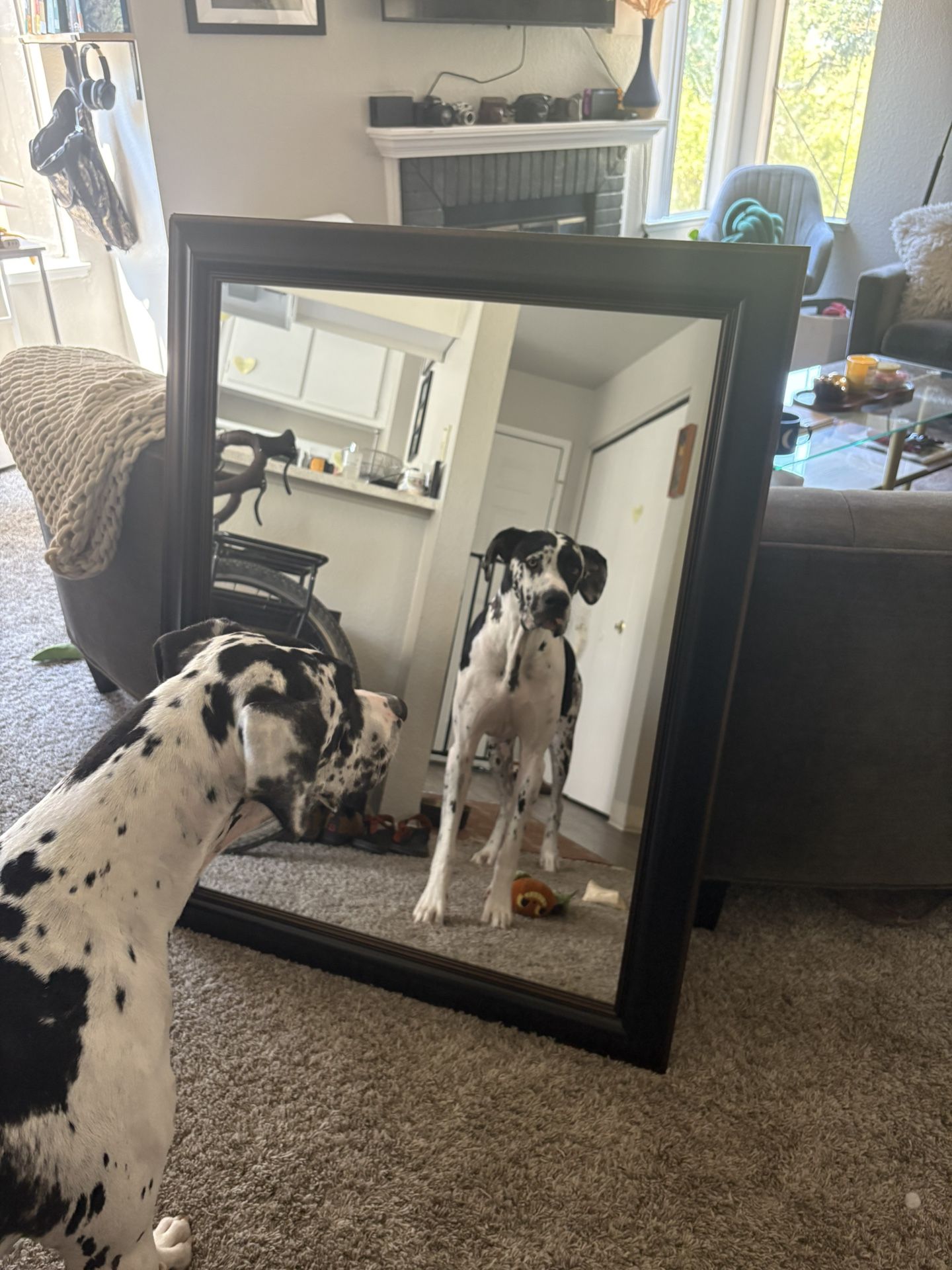 Big Mirror (black)