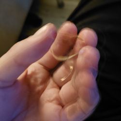 14k Ring Got Cut Off Me On A Accident 