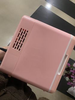 Pink Princess Mini Fridge