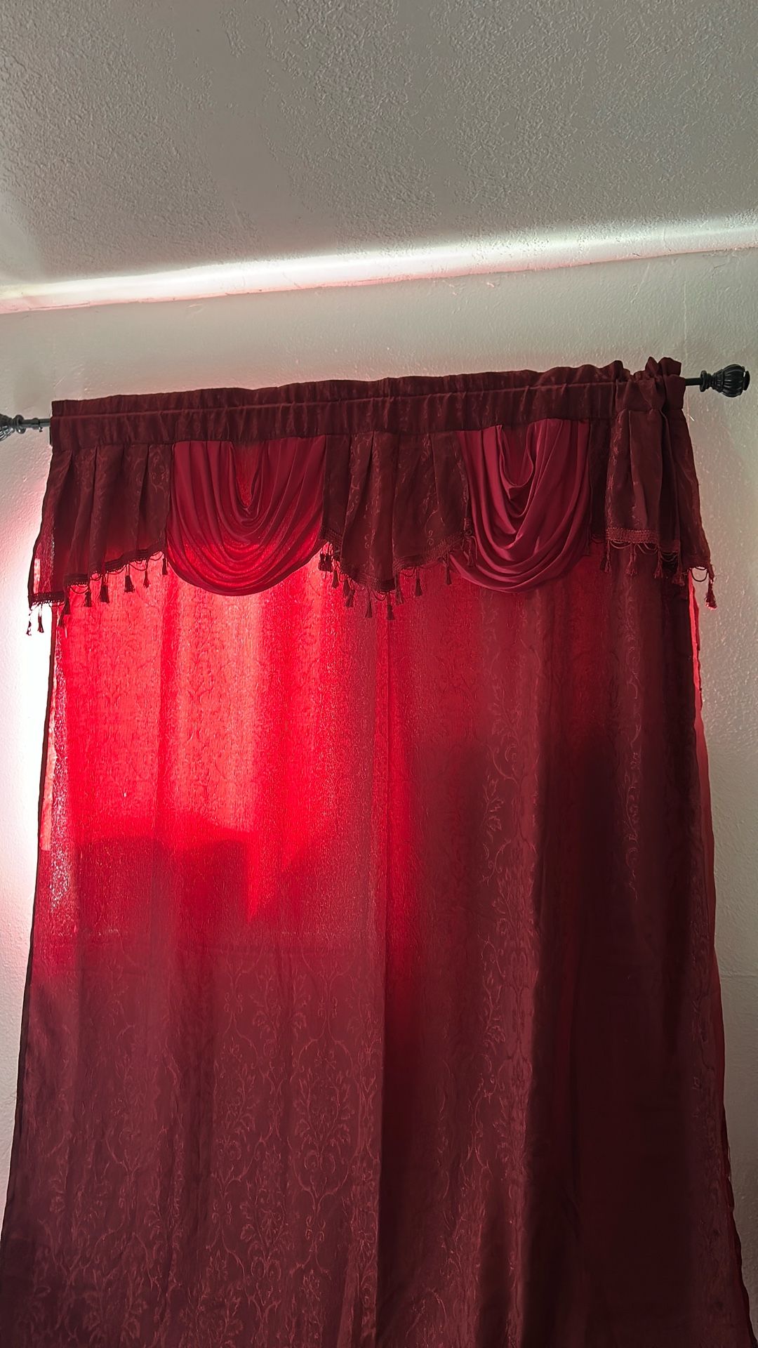 2 Burgundy Curtain Panel
