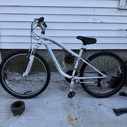 Schwinn adult bike
