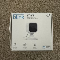 Blink Mini Camera 