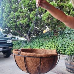 Plant Hanging Baskets