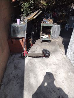 Motor Scooter Gas Powered 