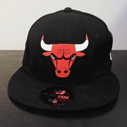 Ultra Game NBA Chicago Bulls Snapback (cash only)