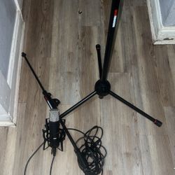 Mic With Stand