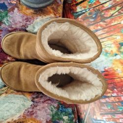 Size 6.    Bearpaw 