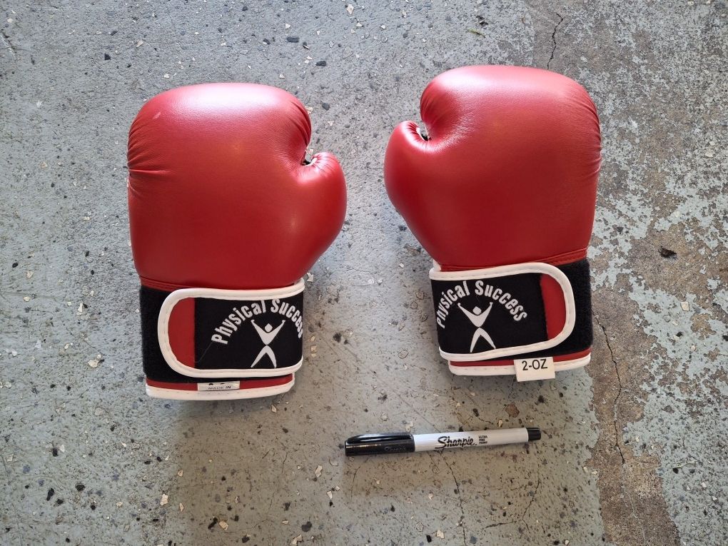 Kids Boxing Gloves 2 Oz