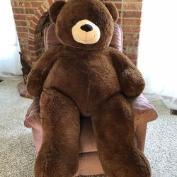 Big teddy bear