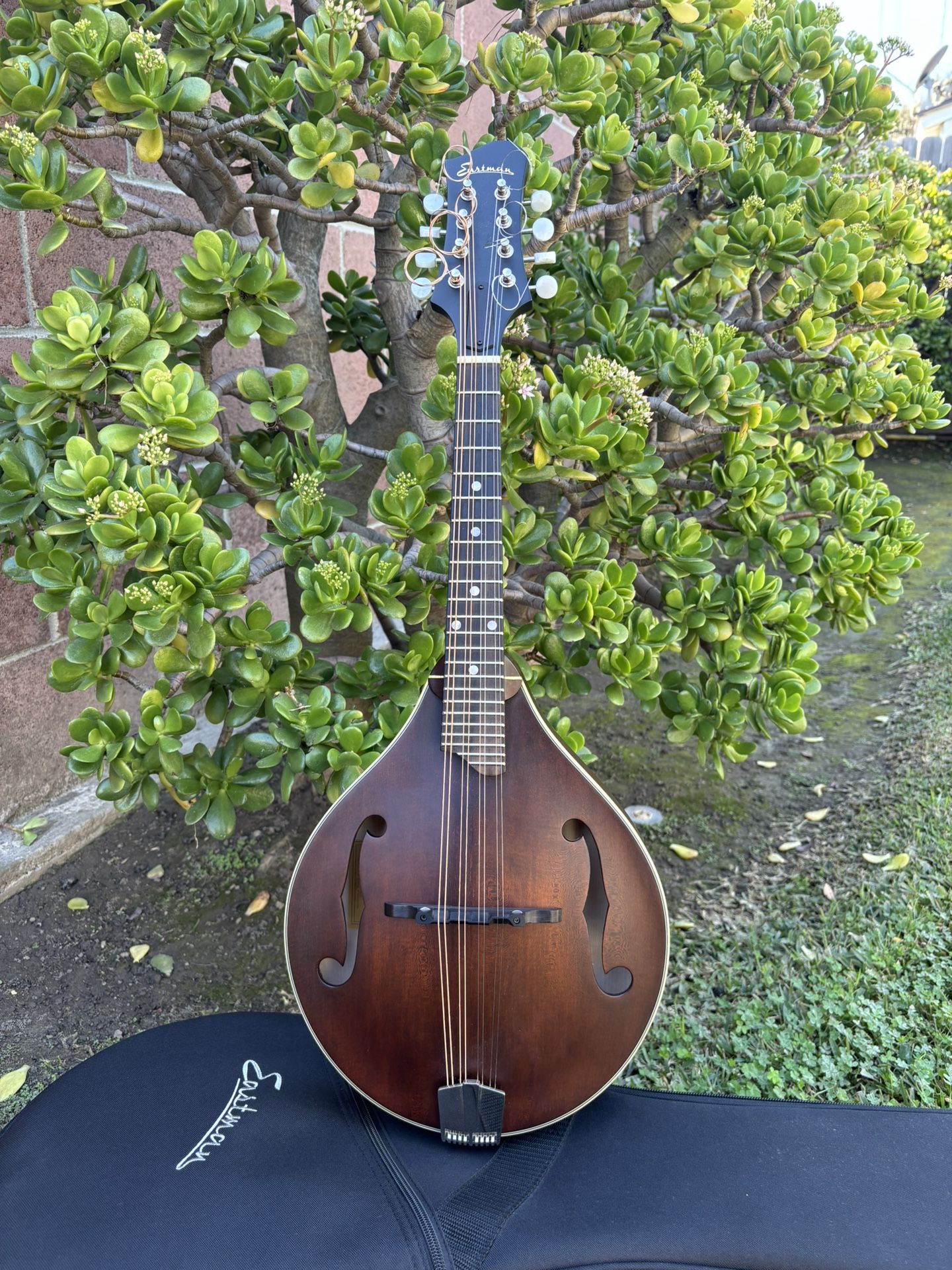 Eastman MD305 Mandolin NICE!