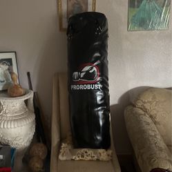 Prorobust Boxing Bag 