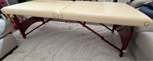 Master Massage Equipment Table