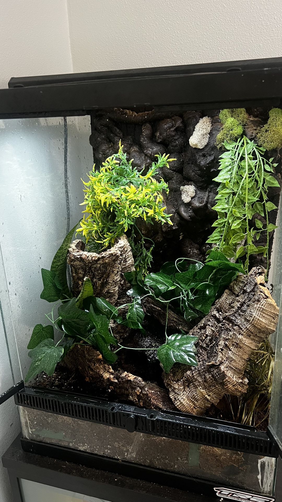 Reptile Enclosure Tank For Tockay Geckos Incl Light
