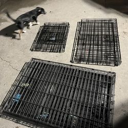 4 Metal crates- 3 sizes (sm, med and Xl) and large GATE