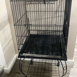 Bird Cage