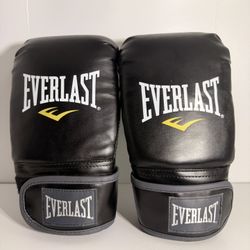 Everlast Boxing Gloves 