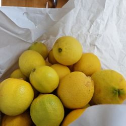 One Grocery Bag Organic Washed Lemons For $5 Only
