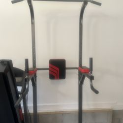 Pull-up/ Dips Bar 